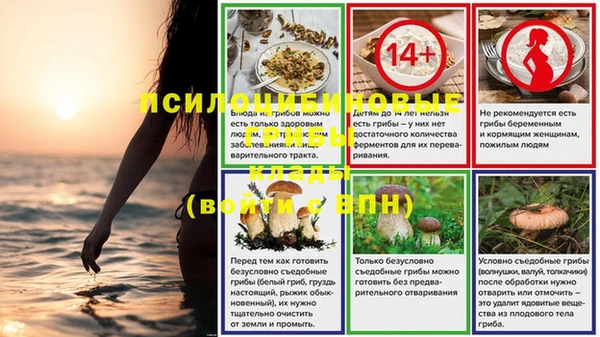 мдпв Балахна