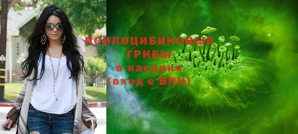 гидропоника Богородск