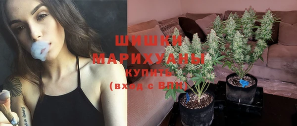 прущие крисы Рославль