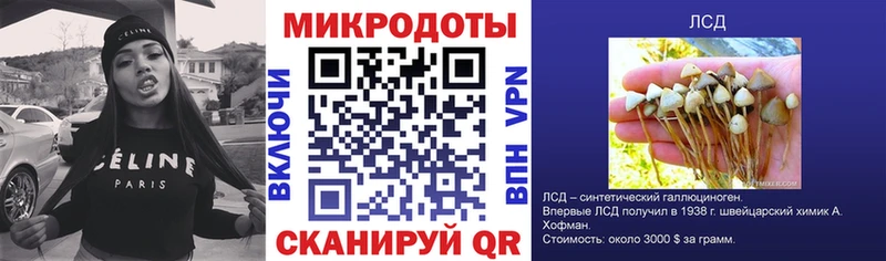 Галлюциногенные грибы Cubensis  KRAKEN зеркало  Кондрово 